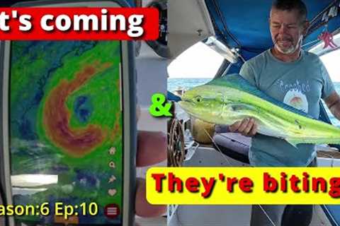 Island hopping, dodging storms and catching fish on a sinking boat.