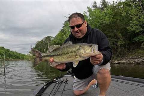 Table Rock Lake Bass Fishing Report May 11, 2025 Spinner Bait