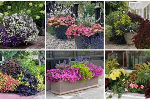 6 Container Combinations to Love! 😍💚🥰 // Garden Answer
