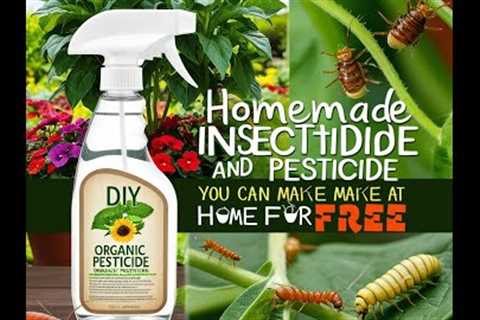 How to Create Organic Pesticide at home for FREE1