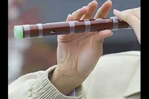 Beginner-Friendly Bamboo Flute | Playing a Dong Xuehua Dizi with Smooth Tones