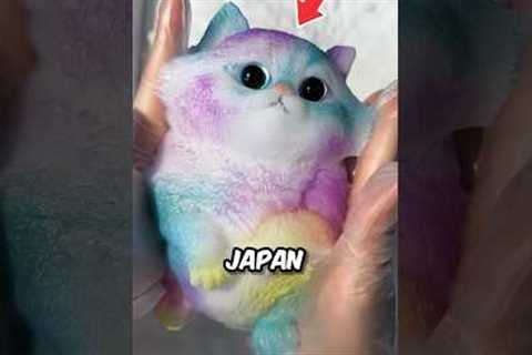Squishy Sticky Cat Toy 😍 ￼