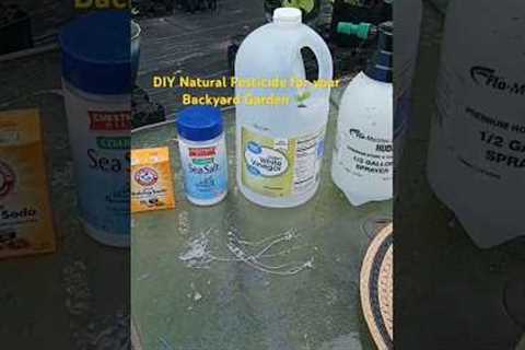 Garden DIY Natural pesticide #garden #mybackyardgarden #gardeningtips #gardendelight #diy #water