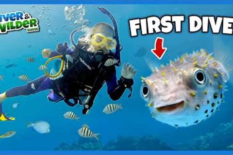 KIDS scuba dive with PUFFERFISH, LOBSTERS and EELS!