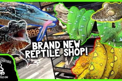 TOURING A BRAND NEW REPTILE SHOP IN SOUTH FLORIDA! (Cold Blooded Kingdom)