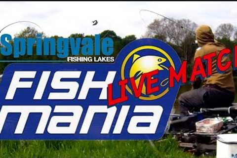 Live Fish'O'Mania Qualifer | Springvale Fishing Lakes | NETFISH 2025