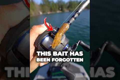 This Forgotten Bait STILL Crushes Bass! #fishing