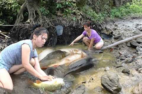 Top Fishing Video: Survival Skill, Unique Fishing, Survival Fishing, Build Fish Traps Catch Big Fish