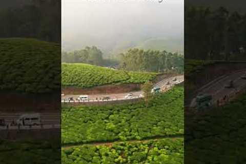 Munnar of God's Own Country | Aerial Drone Shot #photography #travel #Drone