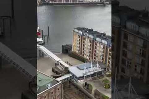 Timelapse of the low to high tide today in Docklands SE6 #thamesforeshore