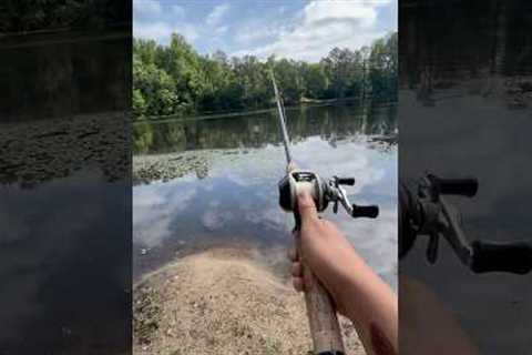 Out here fishing, catching them bassisi #fishing #bassfishing