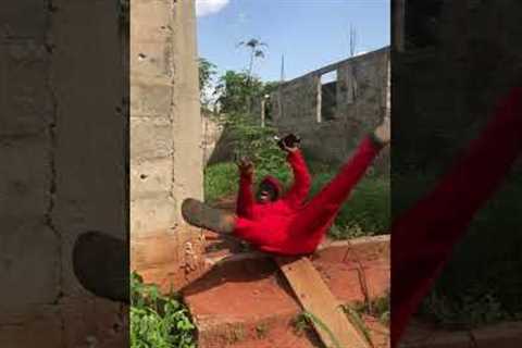I don run for my lîfè #trending #comedy #funny #fypシ゚viral #youtube #video #goviral #funny #content