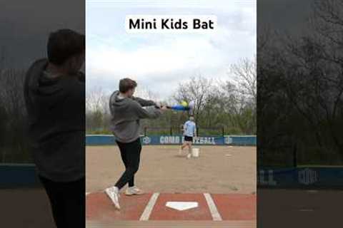 Can we hit a Home Run with a Mini Kids Bat?