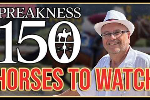 3 HORSES TO WATCH | 2025 Preakness Stakes Picks, Predictions and Odds