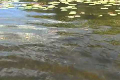 How To Fish Lake Nockamixon