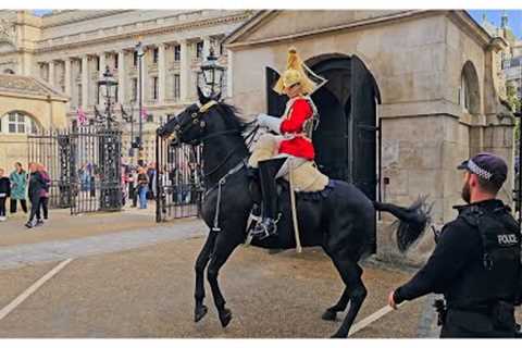 Horse has an Epic 45-MINUTE Meltdown Then Quits!