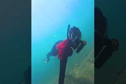 Pack. Travel. Dive. Meet the SMACO Mini Scuba Tanks 🌊✈️ #smaco #underwater #scuba #reeflife #ocean