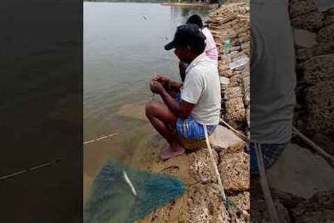 Catching Tasty Fishes in Lake #fishing #fishingvideos #thoondilulagam #lakefishing