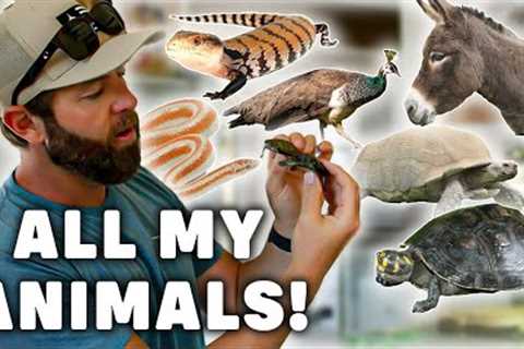 Forrest Galante's Home Zoo Tour | Snakes, Turtles, Mini Horse &amp; More!