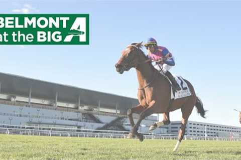 Talking Horses - May 18, 2025