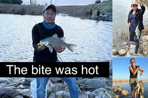 Mus nuv ntses North Dakota May 2025 || Devils Lake White Bass fishing ||