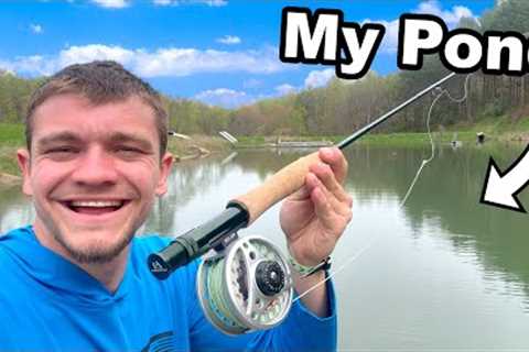 I Went Fly Fishing in My Pond for the First Time!