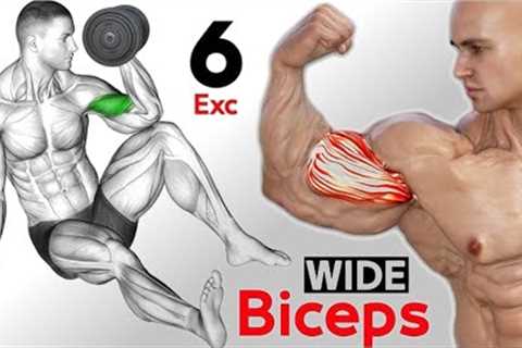 GET BIG ARMS AT HOME - The Best Dumbbell Bicep Workout