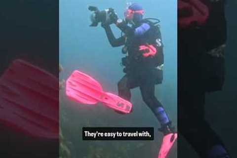 Best fins for scuba diving @SCUBAPRO