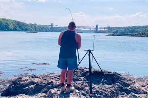 Bass Fishing on the MENAI STRAIT❗️