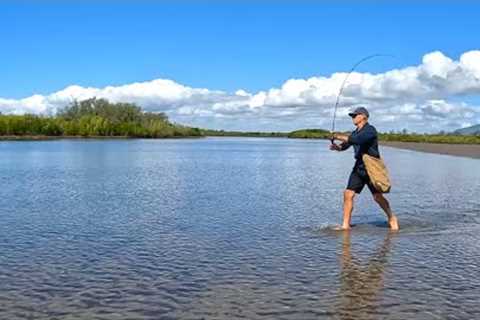 Catch BAIT - SAVE $$$ | EASY Fishing | Cooking Fish