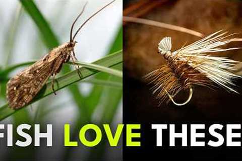 Master One of Fly Fishing’s Most Important Bugs | Ep. 128