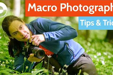 Macro Photography Tips and Tricks! (Camera Settings, Equipment, Diffuser + Mirror Hack!)
