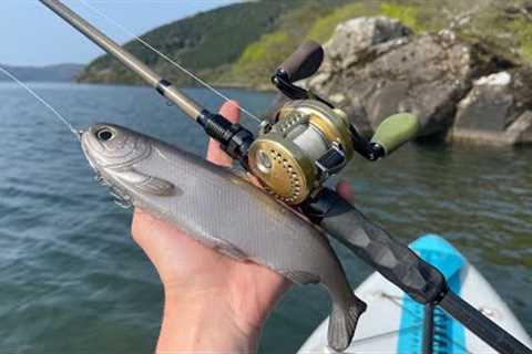 5 Hours Of Fishing On Lake Biwa, Japan