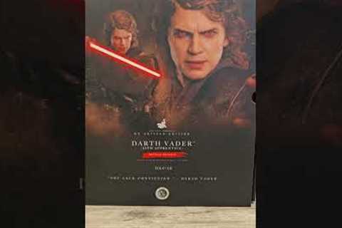 Hot Toys Japan Star Wars Celebration Exclusive Artisan Edition Darth Vader Sith Apprentice DX47AE