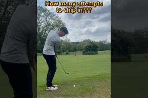 How many? #chips #golf #golfer #golfswing #golflife #golftips #golfing #golfchipping #fyp #foryou