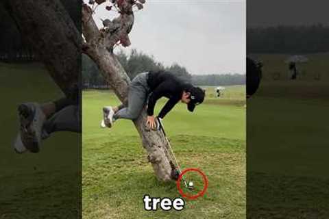 The Impossible Golf Shot (@forthegoodofgolf)