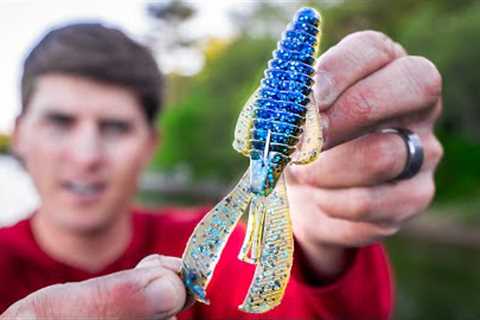 Learn To Fish CREATURE BAITS In 2025! (Bass Fishing Masterclass)