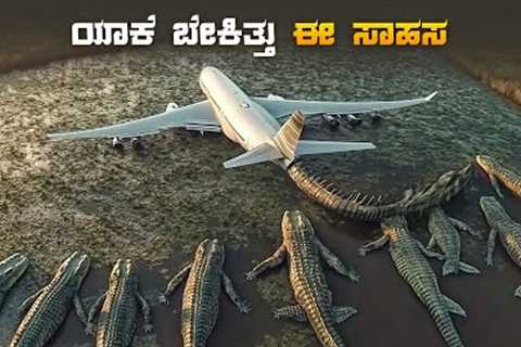 The Bayou Movie Explained In Kannada • Jungle Adventure • Plot Review