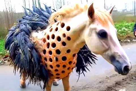 20 Strange Animals Found In The Streets Of Asia