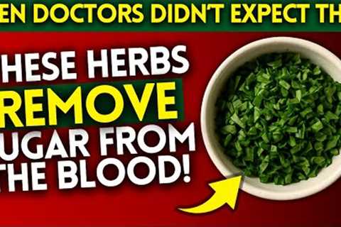 2 Incredibly CHEAP Herbs That Fight Diabetes | (Even Doctors Were Shocked!)