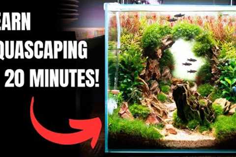 2025 Complete Aquascaping Beginners Guide - Learn ALL The Basics!