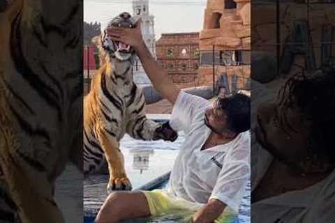 The Dark Side of Dubai's Exotic Pets
