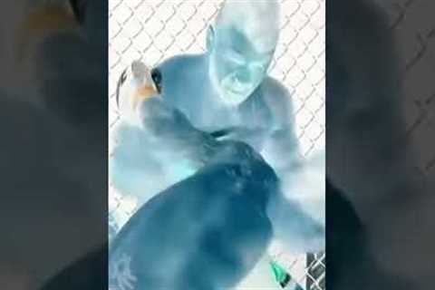 Guess the fighter?##trending #viral #mma #knockout #crazy #brutal #fights