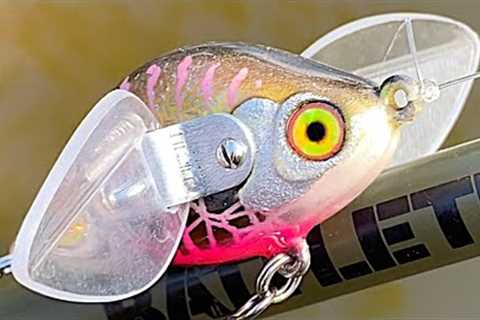 Clear Plastic Wings on a Fishing Lure | One Day Build to Catch