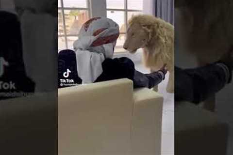 Arabian Billionaires with wild animals like lion as pet 😒