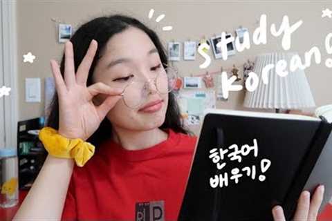Study Korean: My (updated) tips on how i study Korean! Learn Korean with Nina!