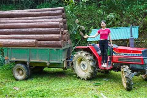 Wood Transport &amp; Forest Cabin Build | DIY Wooden House in the Wilderness 2025