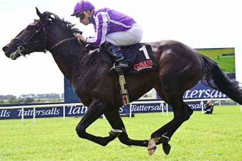 Wow! Top prospect ALBERT EINSTEIN remains unbeaten | Racing TV