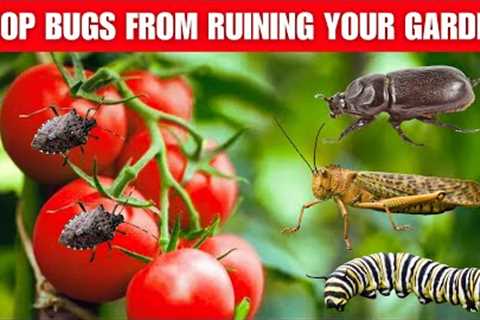 Secret Natural Remedies to Keep Bugs Out of Your Vegetable Garden Forever