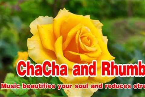 ChaCha and Rhumba melody, New relaxing music bring peace and reduce stress, music for relaxation